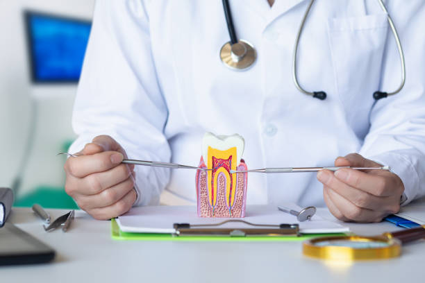 Best Emergency Denture Repair in Galena, IN